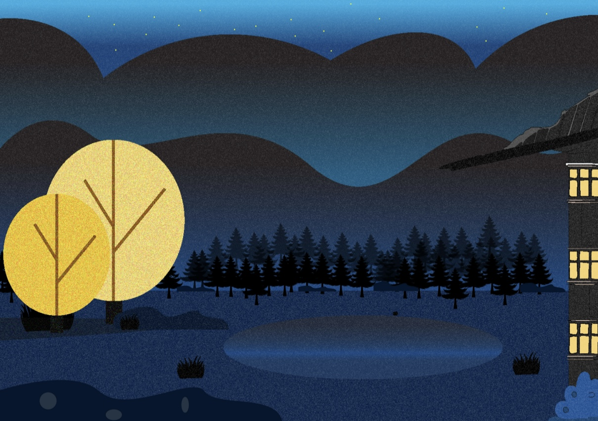 Night valley with lit trees, flat vector