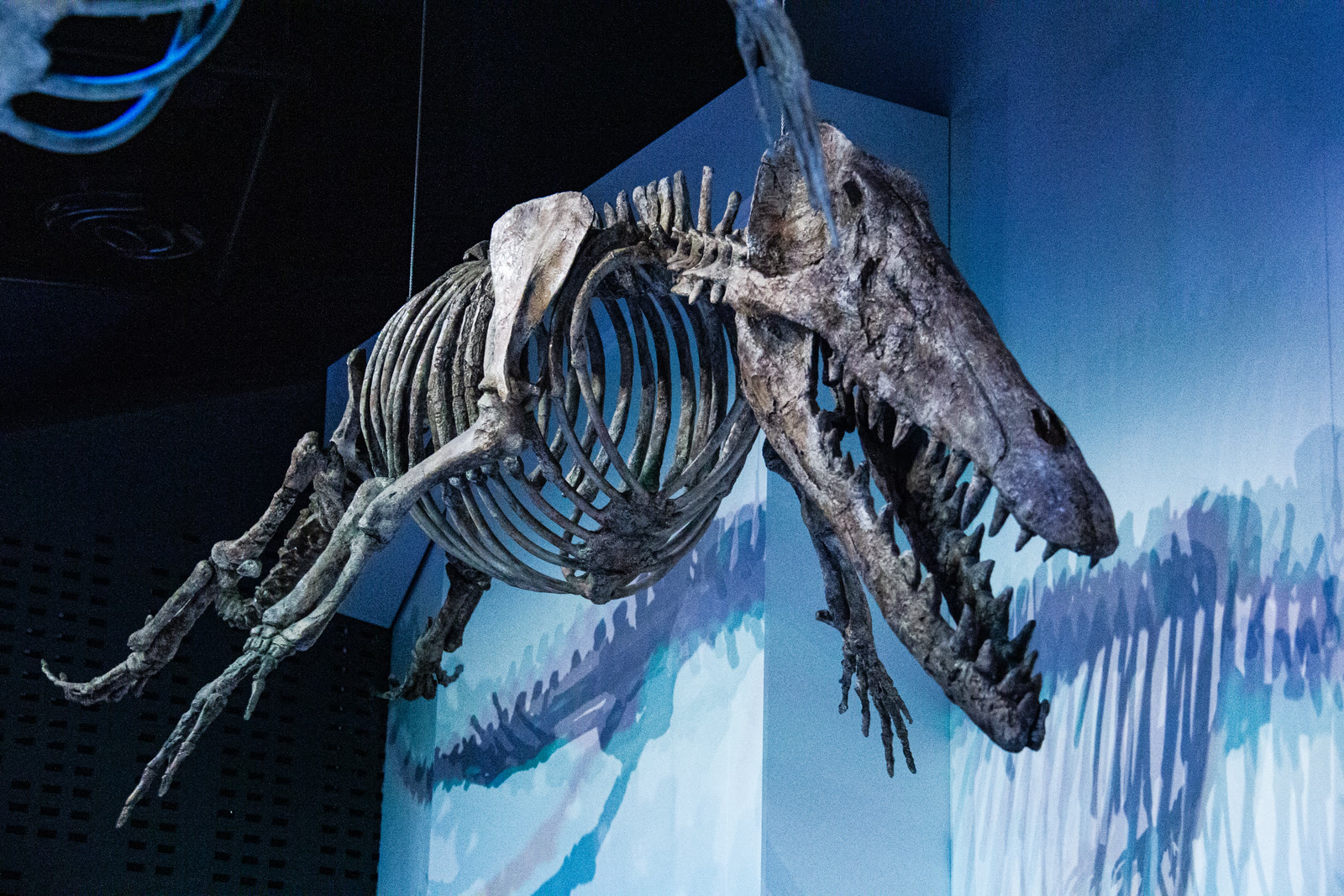 Photograph 28