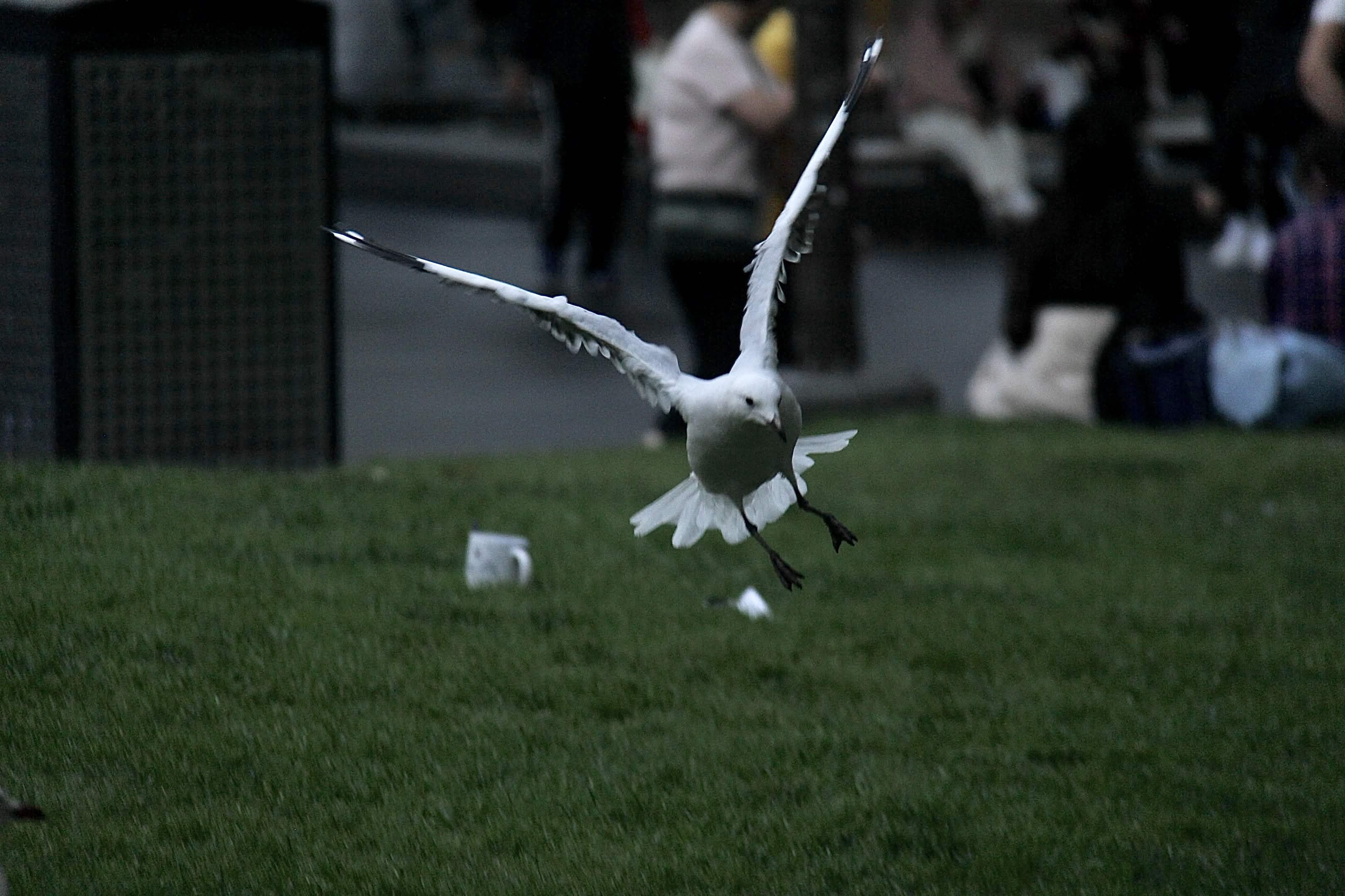 Photograph 21