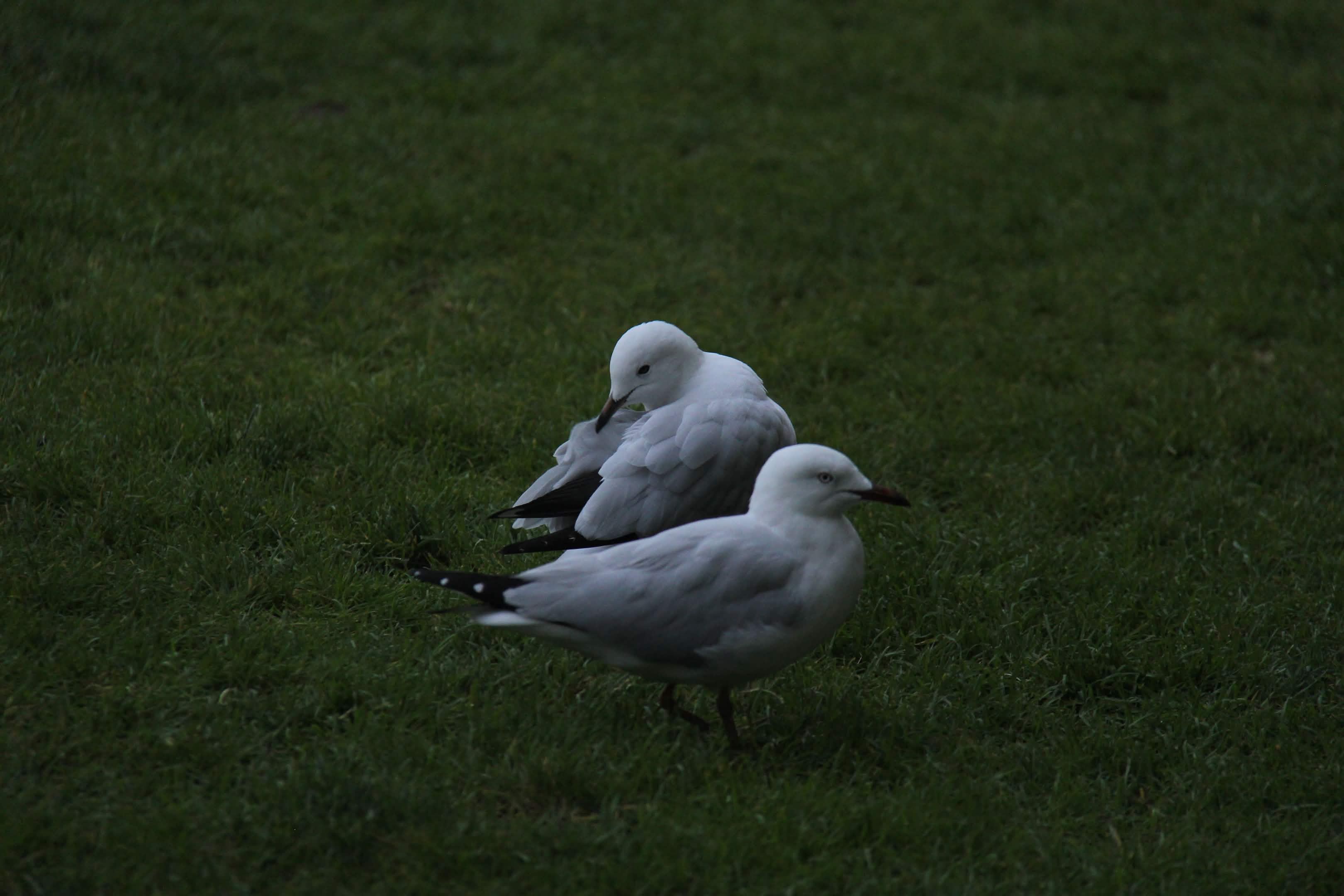 Photograph 22