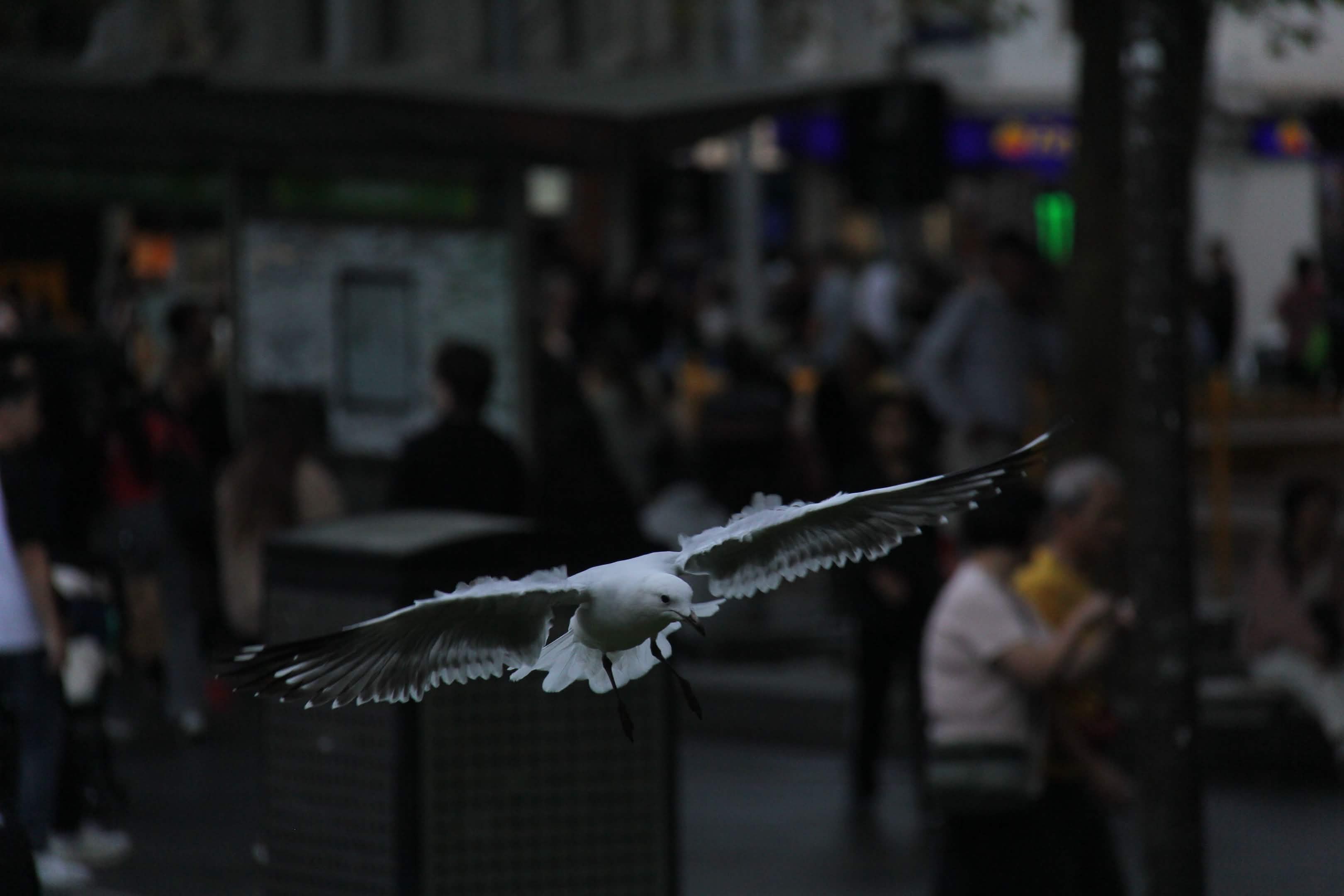 Photograph 24