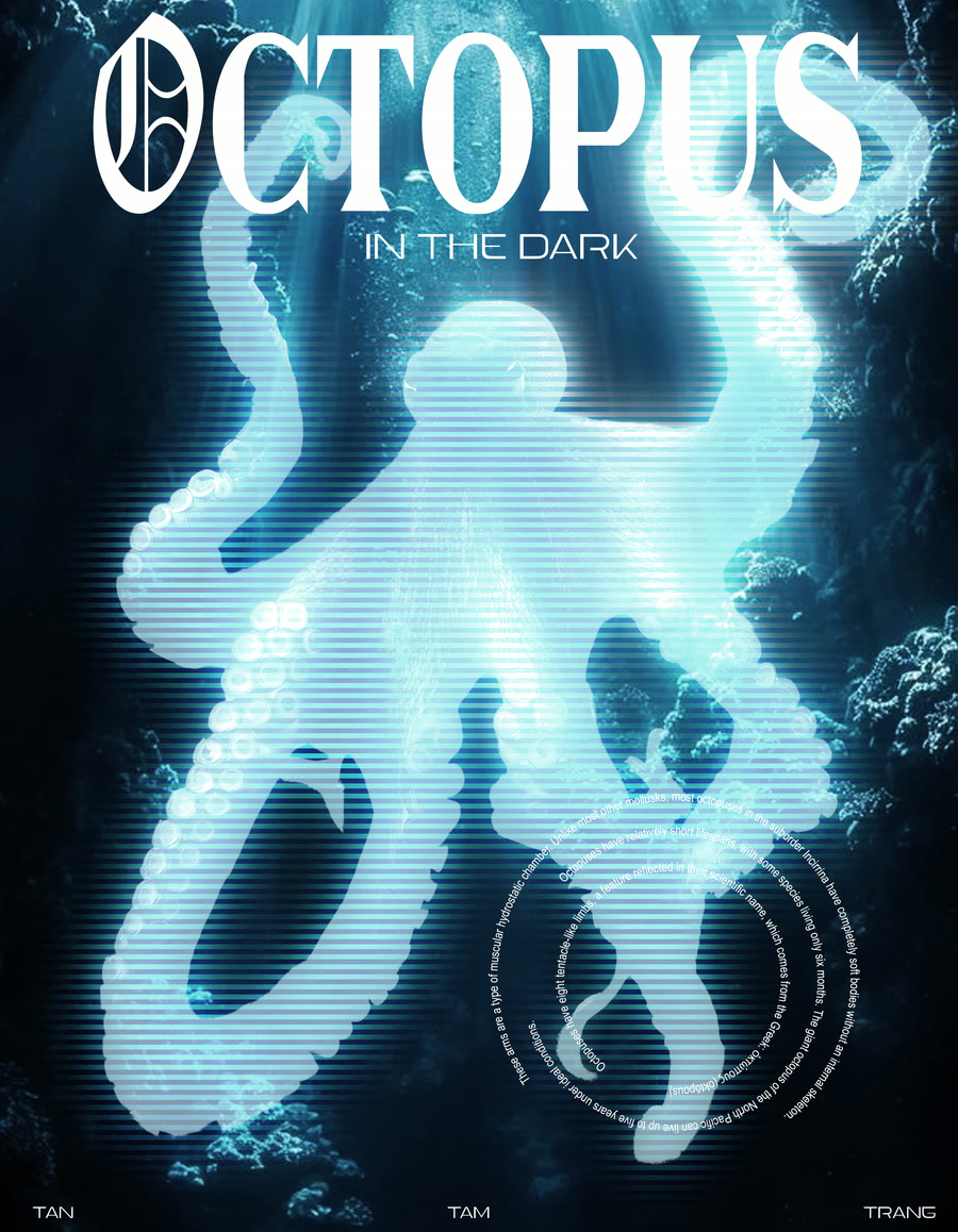 Octopus In The Dark poster